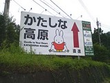 かたしな