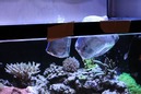 ʨ¤¤Þ¤·¤¿20110129