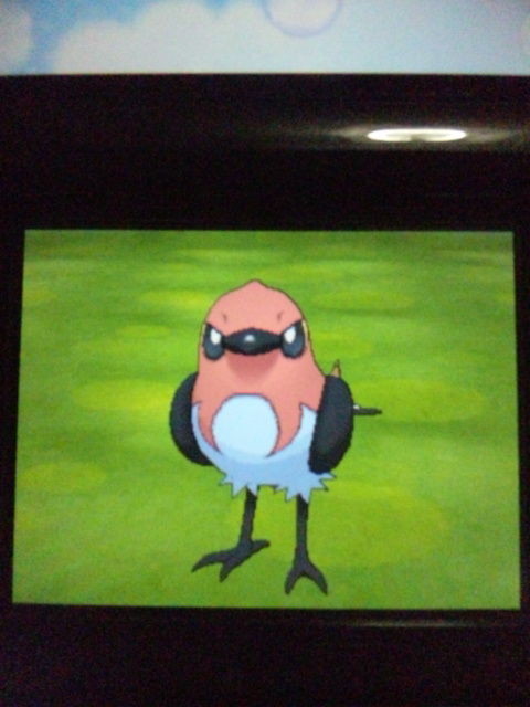 ポケモンyゲット Day After Day