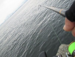 20190120谷一渡船-3