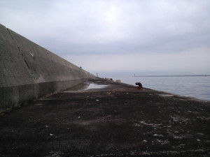 20130331 20130331