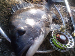 2016052145_2 2016052145_2