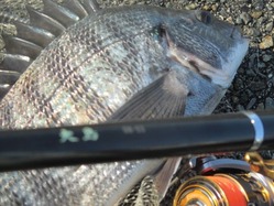 20171223神戸渡船-6