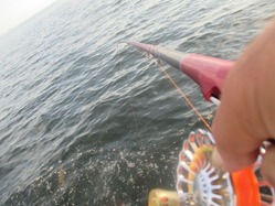 20170717神戸渡船-8