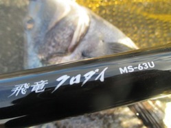 20170115中島(飛竜クロダイMS-63U)
