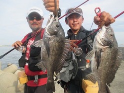 20170702神戸渡船-5