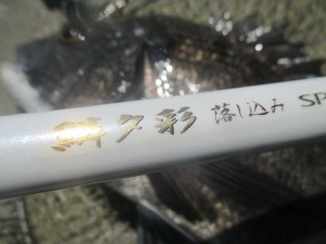 20190818-24