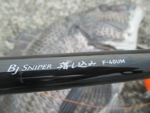 20170716神戸渡船-2