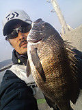 2014031943_2