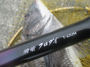 20170506神戸渡船(飛竜クロダイT-63UM)