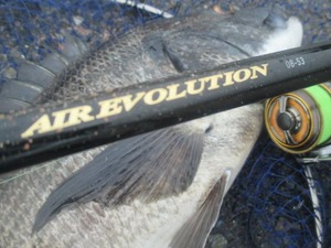 20190120谷一渡船-18