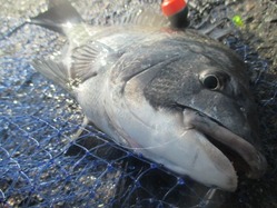 20190120谷一渡船-12