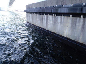 Rungun_evolution_vol21 Rungun_evolution_vol21