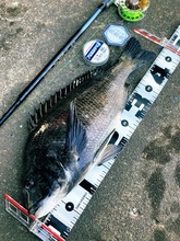 202203-4