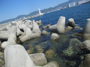 20170504神戸渡船