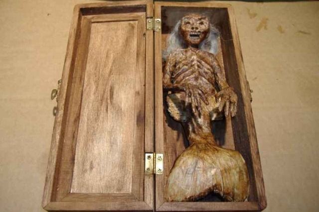 人魚発見 美しい人