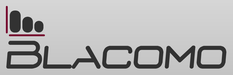 6_Primary_logo_on_color2_233x75