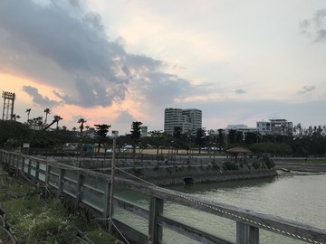 IMG_1919