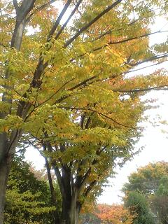 091110_1432~0003.jpg