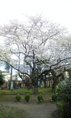100402_0626~0001.jpg
