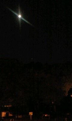 091028_2159~0001.jpg