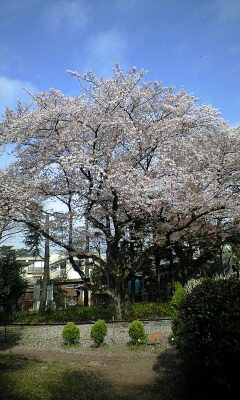 100410_0805~0001.jpg
