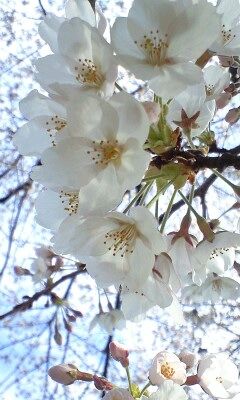 100401_0842~0003.jpg