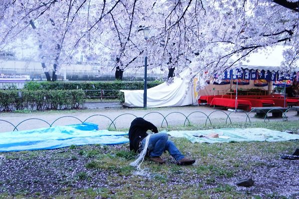 花見やねん In 南天満公園 できる限り遊ぶ D 花見やねん In 南天満公園 できる限り遊ぶ D