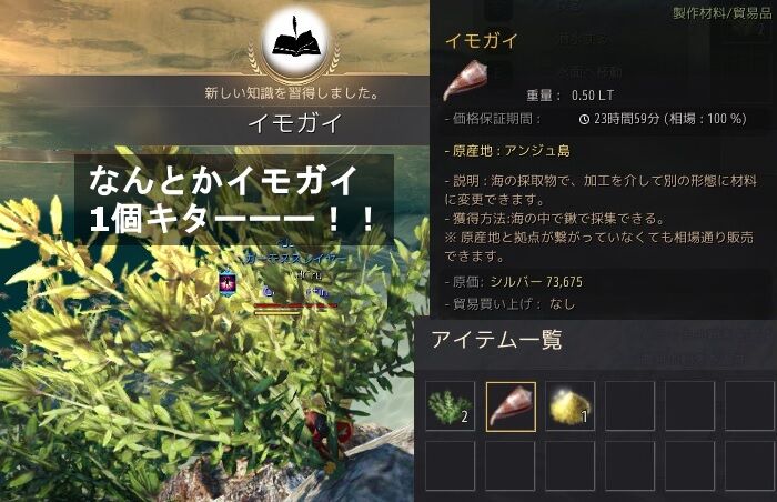 ラスボスはイモガイ 飲んだくれ砂漠 ラスボスはイモガイ 飲んだくれ砂漠