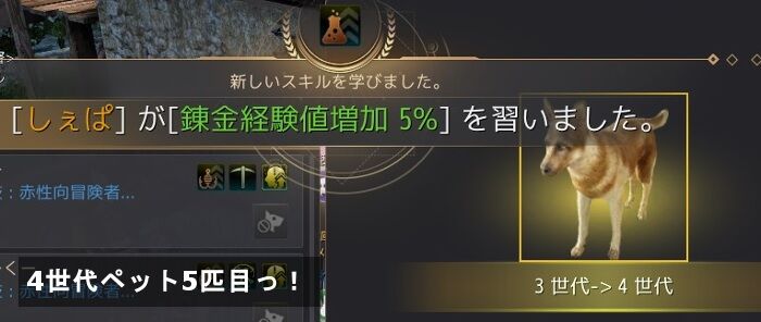 ペット4世代5匹が完成 飲んだくれ砂漠 ペット4世代5匹が完成 飲んだくれ砂漠