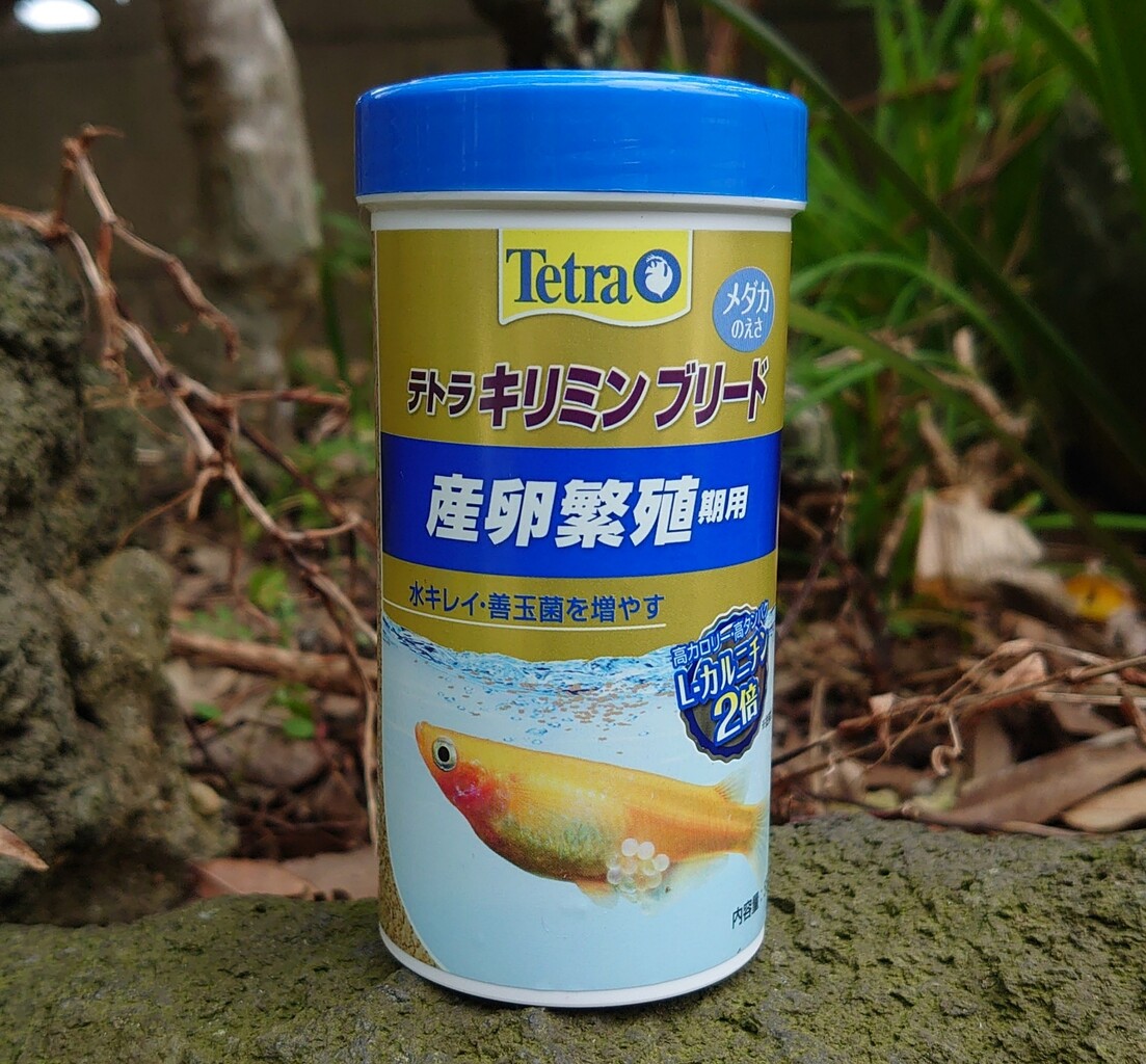 この餌で行こうと思う メダカが西向きゃ尾は東 この餌で行こうと思う メダカが西向きゃ尾は東
