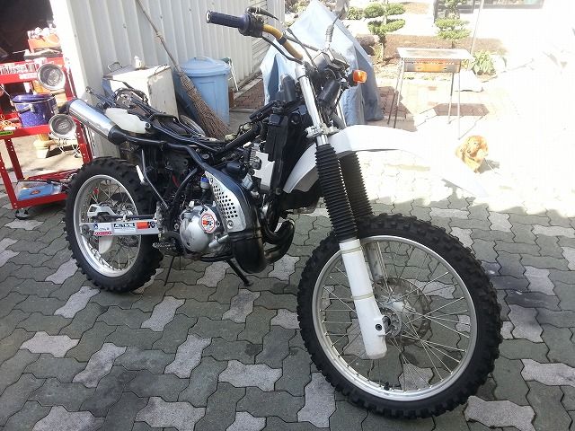 荒馬の整備 ランツァの事だぞ その4 デブに角煮