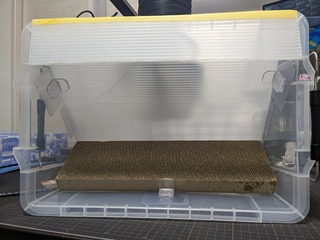 PXL_20240303_122857192