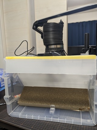 PXL_20240303_122850636