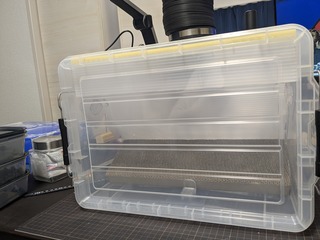 PXL_20240303_124921080