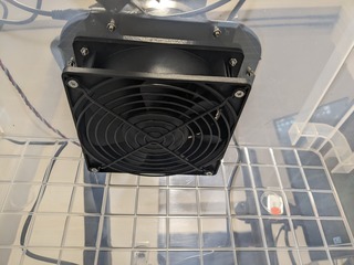 PXL_20240303_122911495