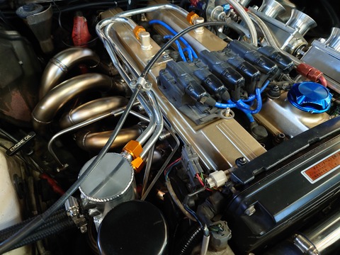 240228bll (10)