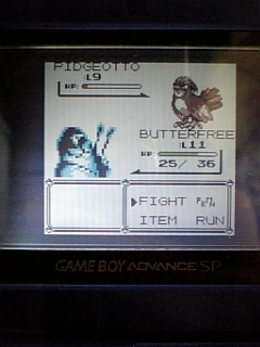 トキワのもりに 黒魔道士のローブ トキワのもりに 黒魔道士のローブ