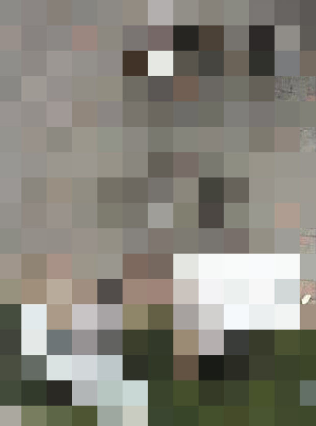 BlogPaint