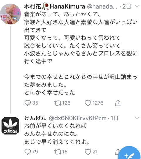 木村花を誹謗中傷したけんけん (1)