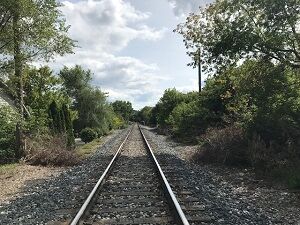 walk 091320-3