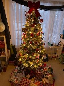 122522-Christmas Tree