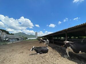 072525 kuboagurifarm2