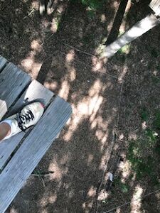 treerunner072520-3
