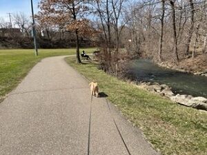 032623walking