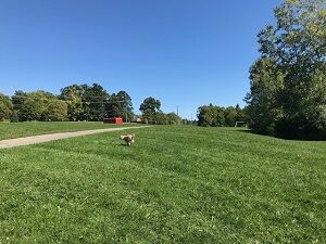walking 092020-1