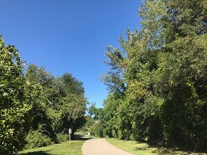 walking 092020-2