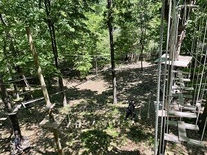 treerunner053021