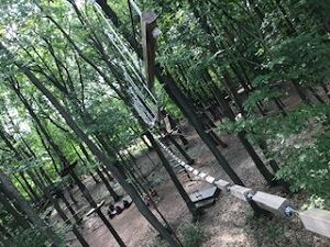 treerunner072520-2