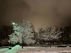 012523-snow2
